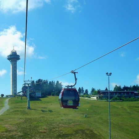Komfort-Fewo Ettelsberg-Panorama Willingen  Buitenkant foto