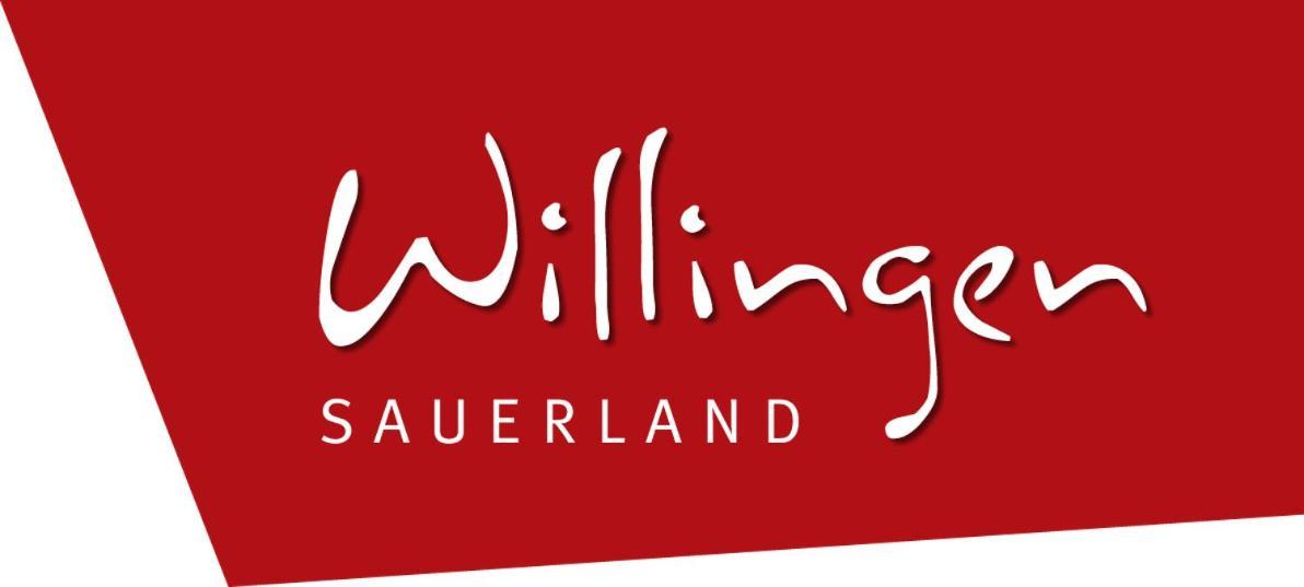 Komfort-Fewo Ettelsberg-Panorama Willingen  Buitenkant foto