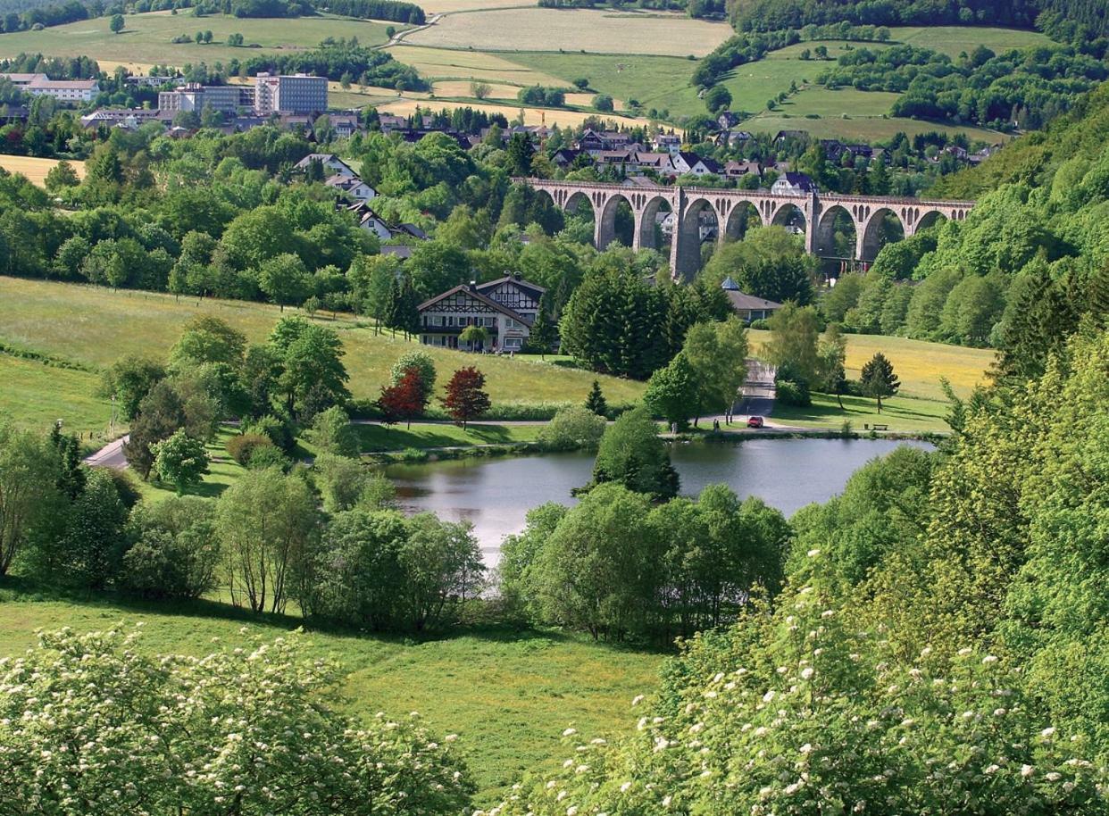 Komfort-Fewo Ettelsberg-Panorama Willingen  Kamer foto