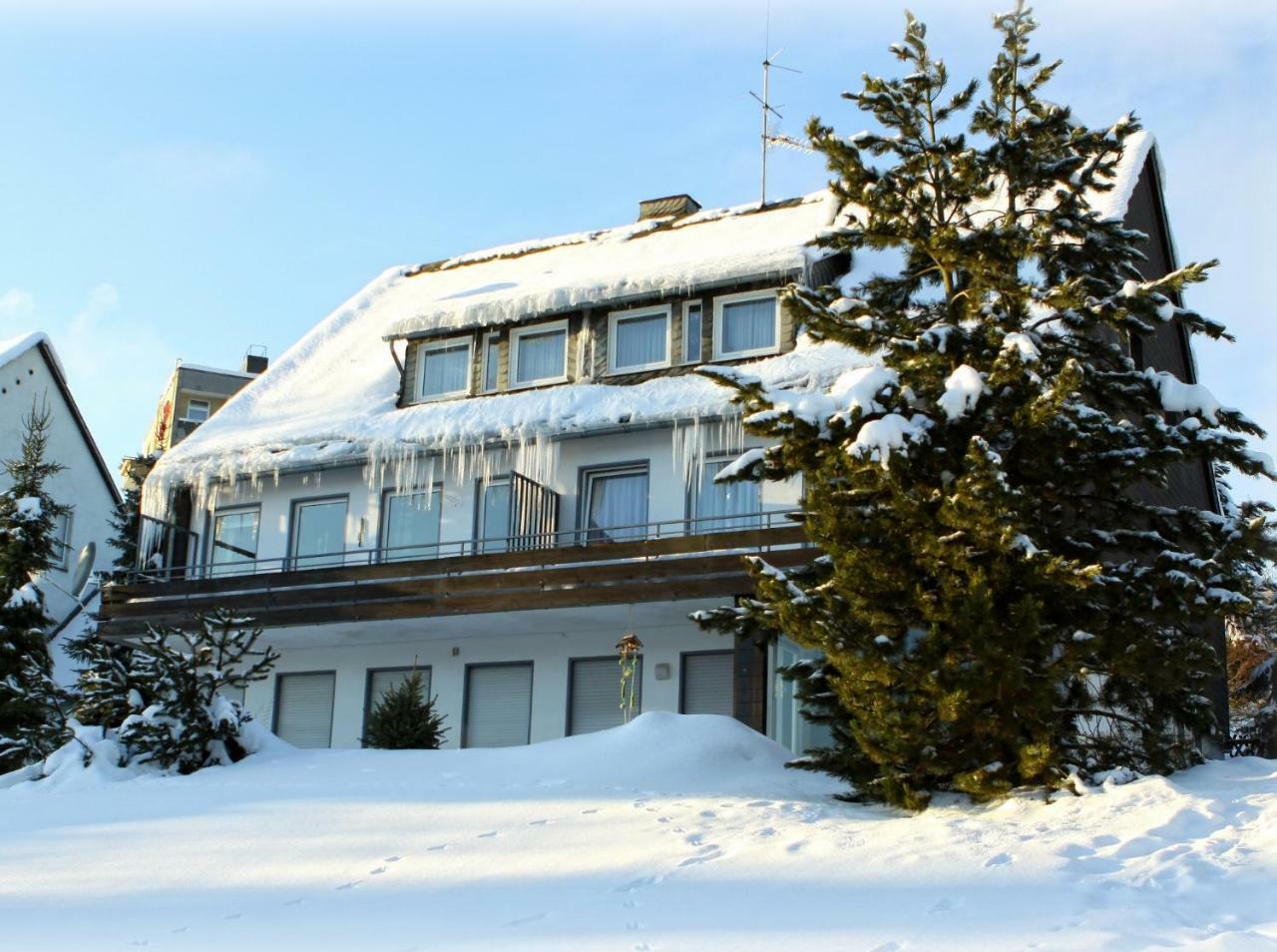 Komfort-Fewo Ettelsberg-Panorama Willingen  Kamer foto